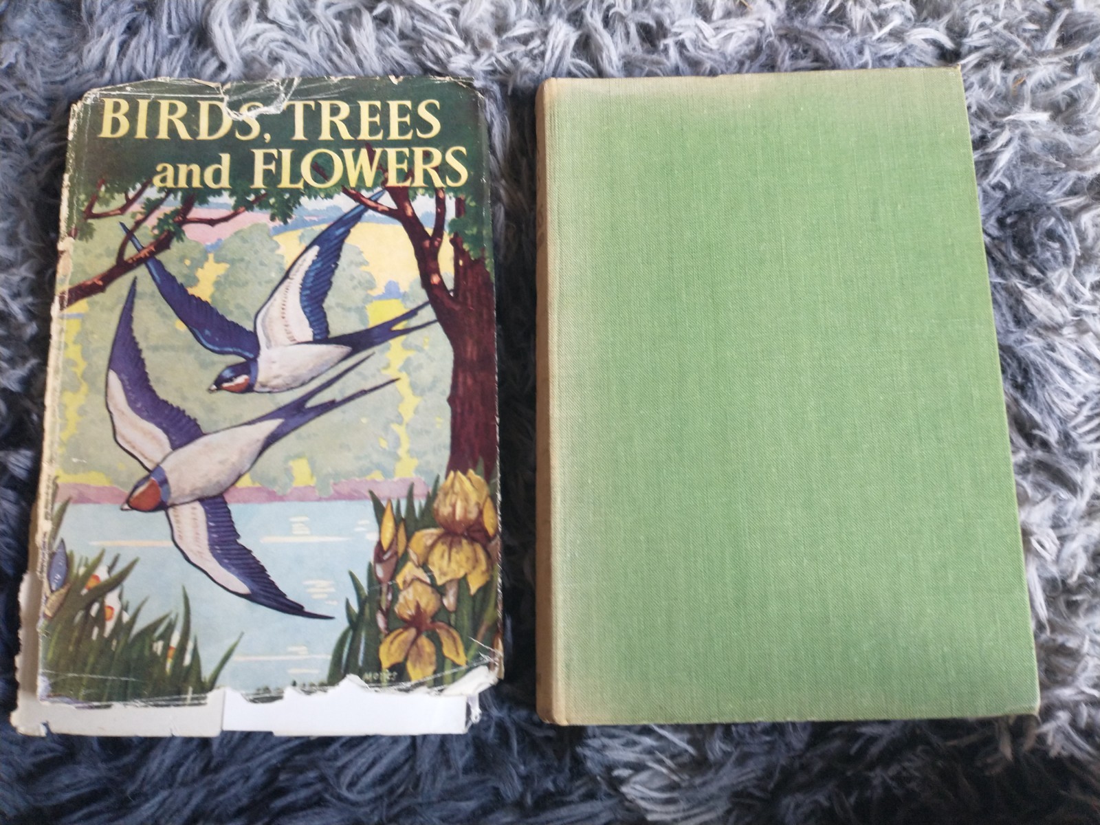 Birds, Trees and Flowers Illustrated – Odhams Press – 1947. Hardback