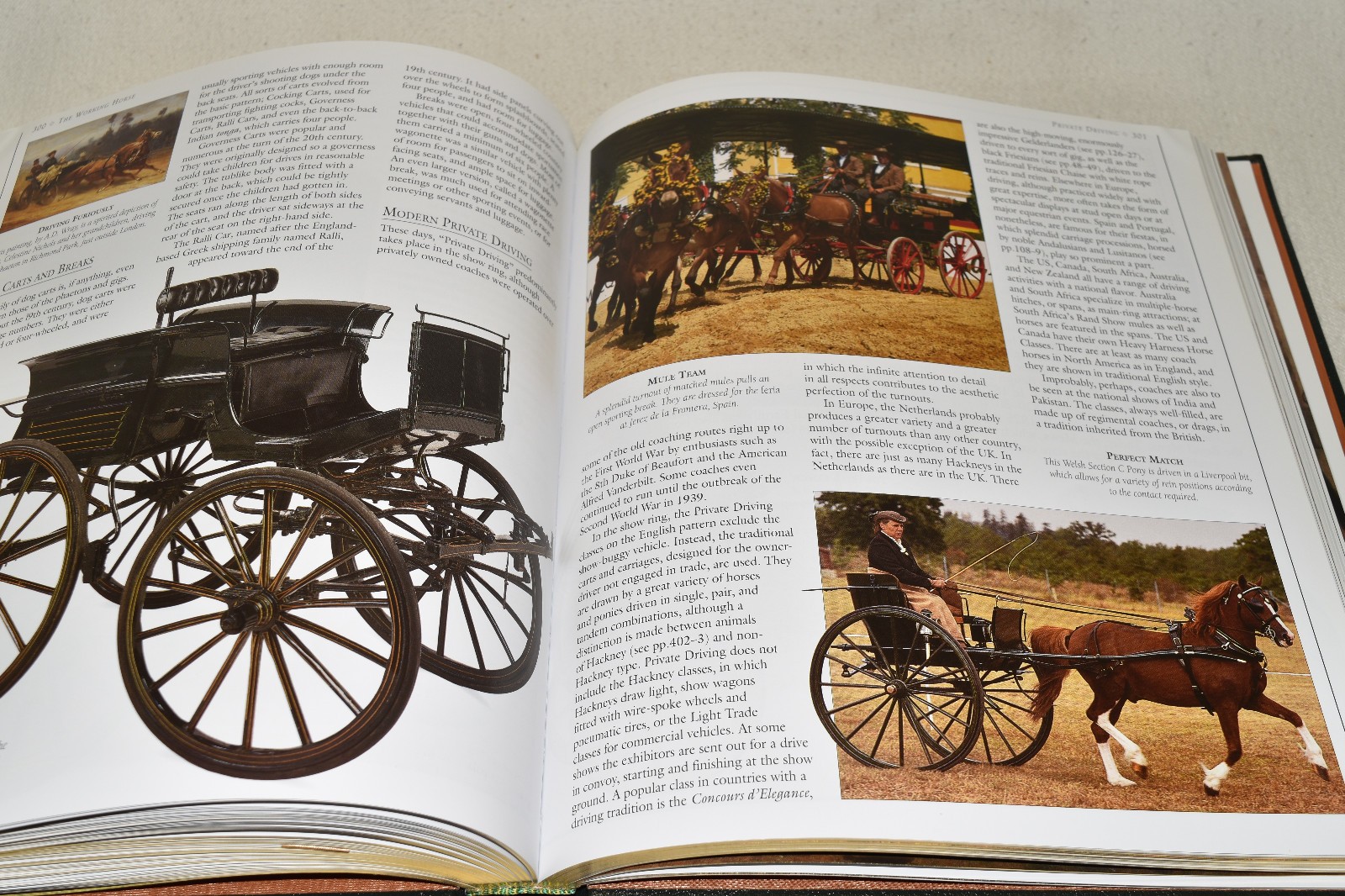 Easton Press NEW ENCYCLOPEDIA OF THE HORSE Edwards 2000 1ST ED LEATHER FINE/OOP!