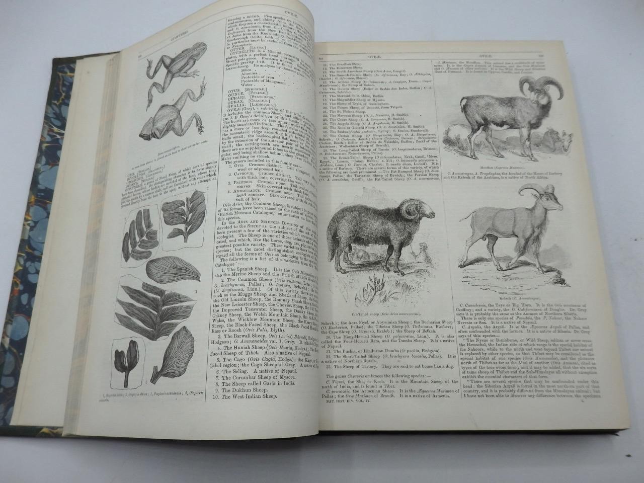 1854 ENGLISH CYCLOPAEDIA of NATURAL HISTORY Charles Knight – COMPLETE 4 VOLS.