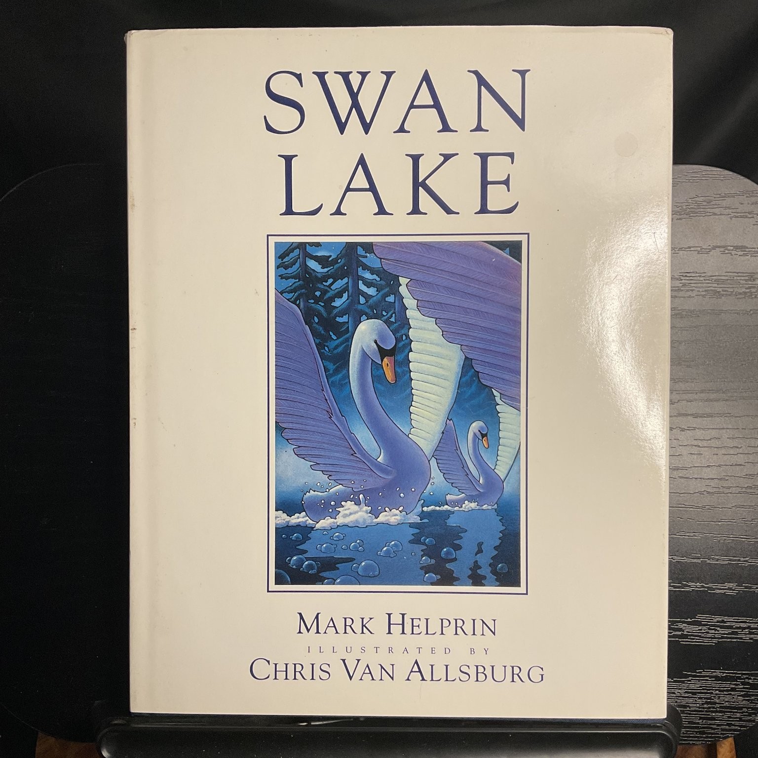 SWAN LAKE Mark Helprin Chris Van Allsburg 1989 First Edition Illustrated