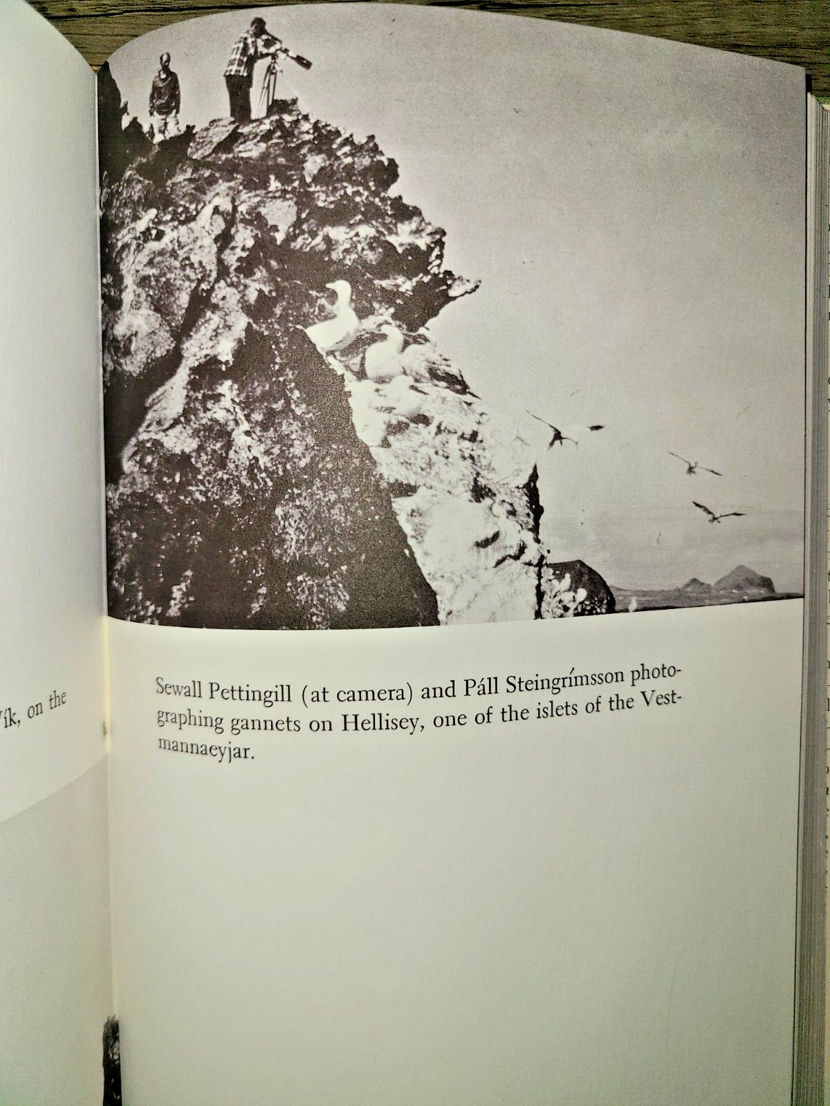 SIGNED! Vtg HC book, Iceland Summer by George Miksch Sutton, 1961