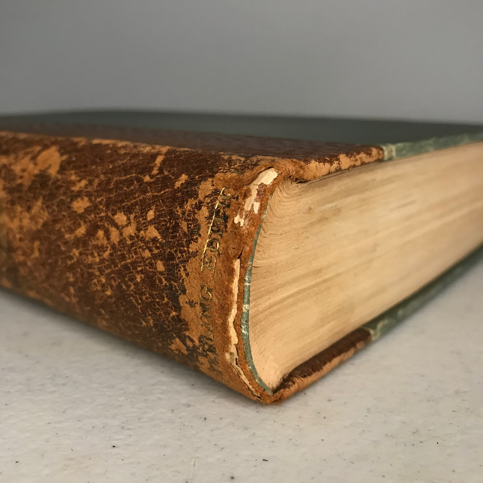 Daniel Deronda – George Eliot – Sterling Edition – Aldine – Quarter Leather