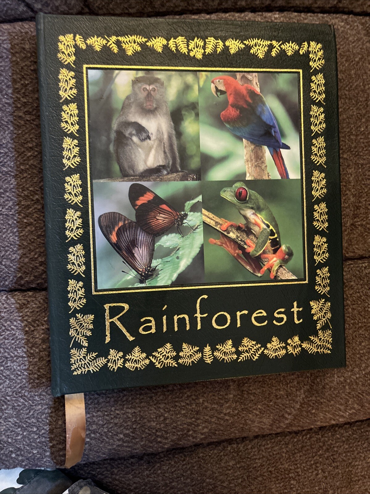 OVERSIZED Leather RAINFOREST Thomas Marent Easton Press AMAZING Photos