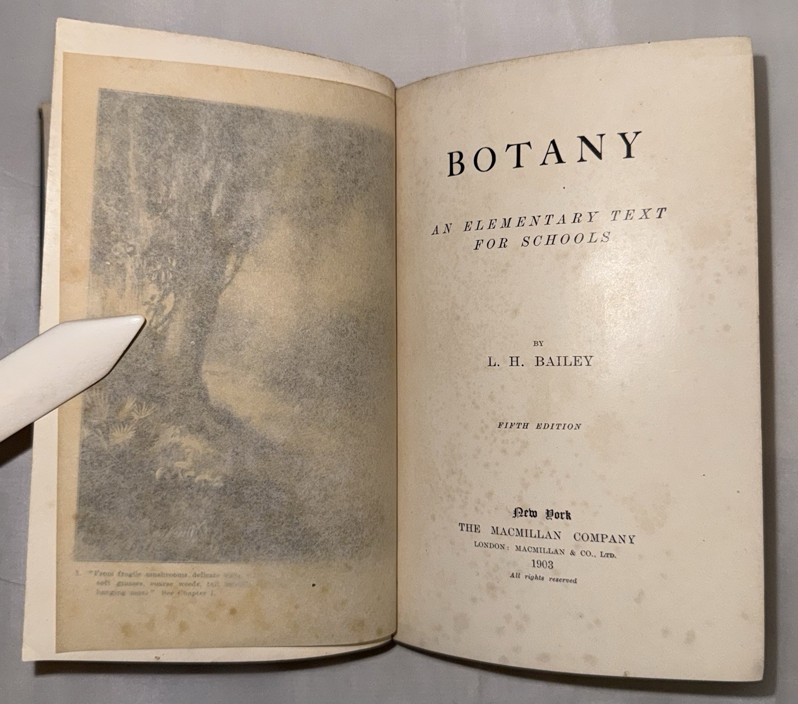 Botany: An Elementary Text for Schools 1903 Illustrated Quarter Leather Bound