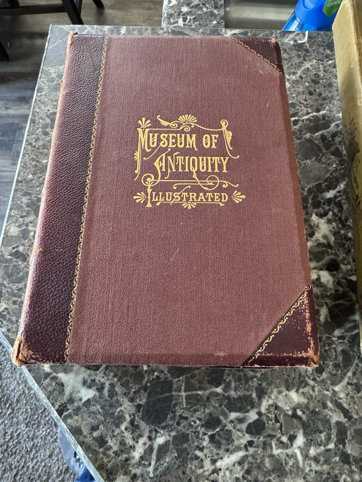 Museum of Antiquity Ancient Life: Fine Arts Of 3,000 Years Ago 1886