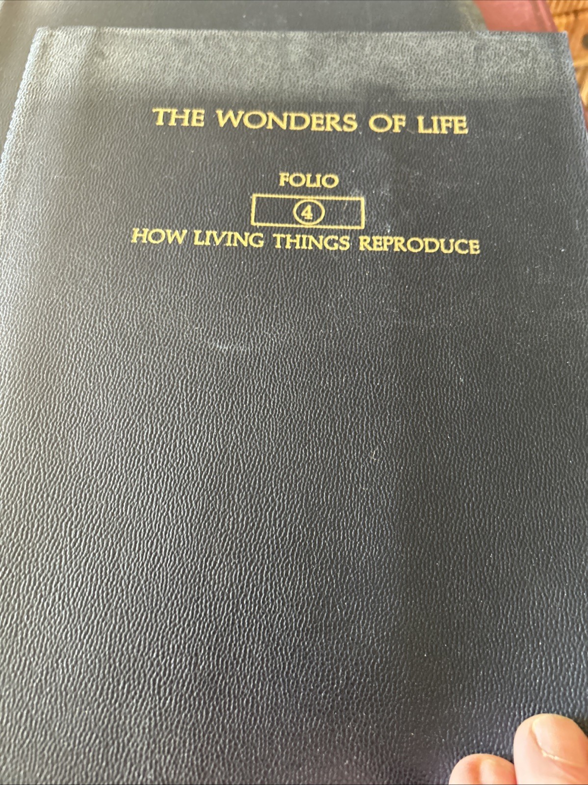 1-12 Micrograph 7401 w/slides Wonders of Life Folio The Cell spiral bound 1963