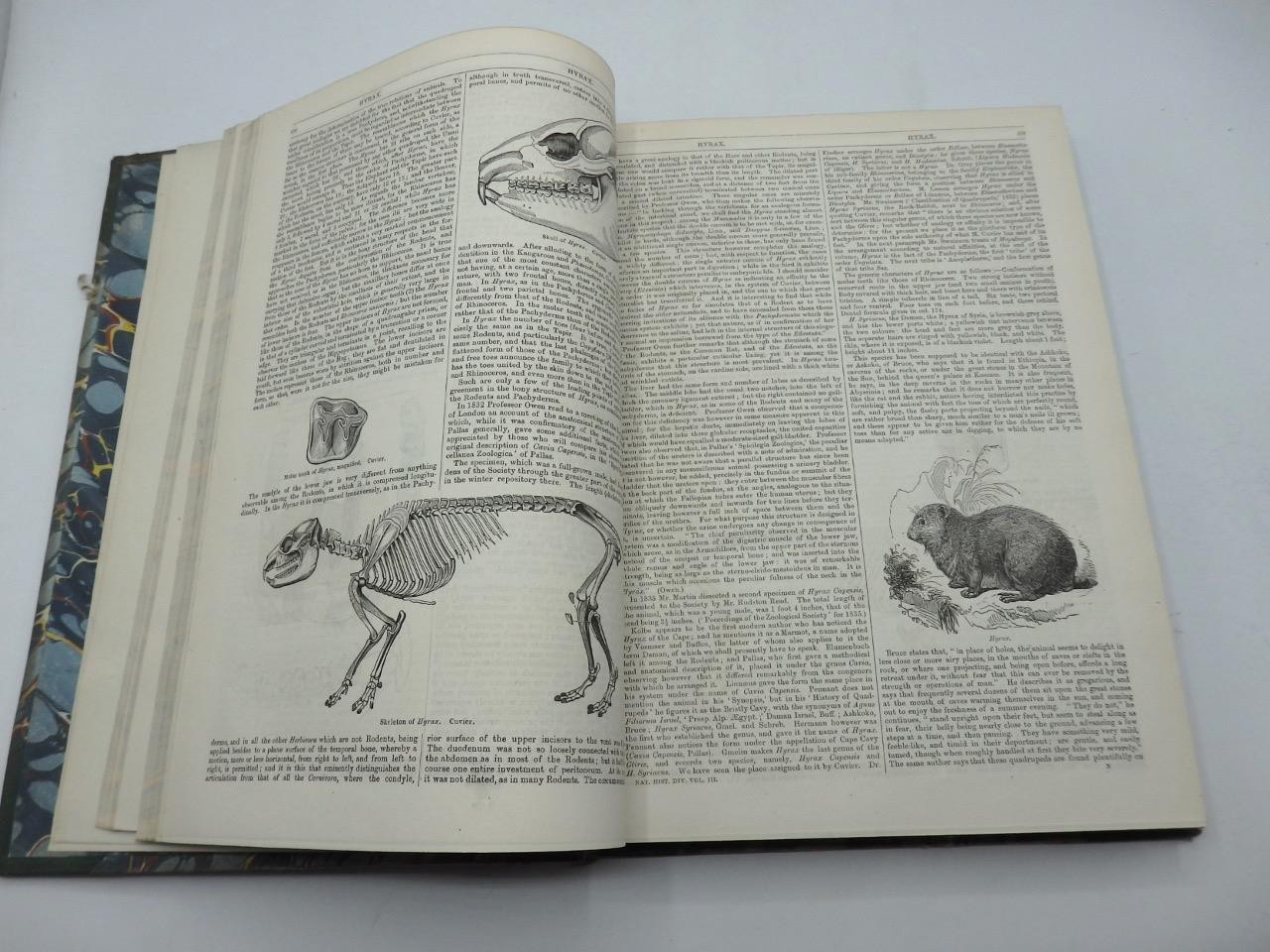 1854 ENGLISH CYCLOPAEDIA of NATURAL HISTORY Charles Knight – COMPLETE 4 VOLS.