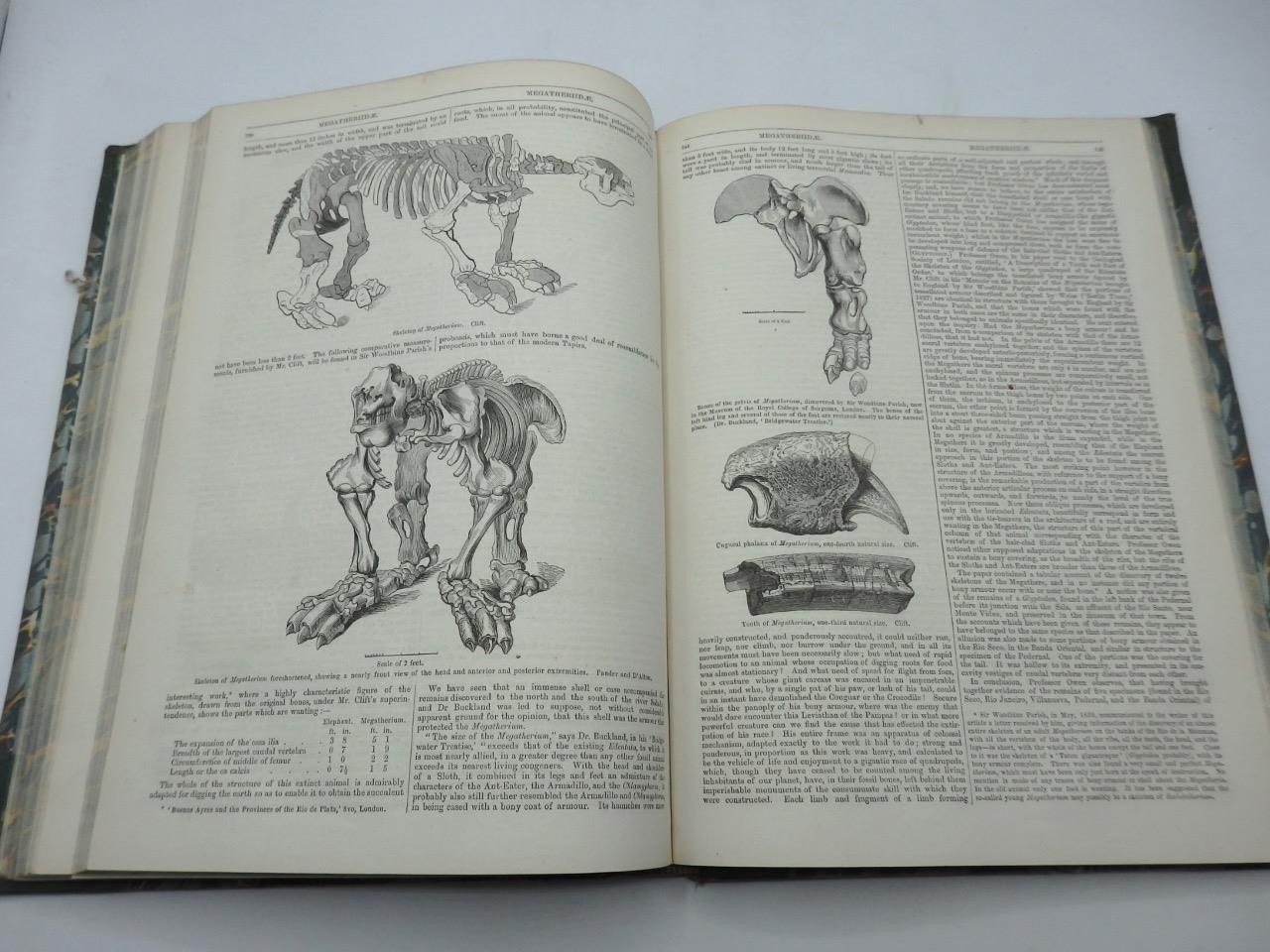 1854 ENGLISH CYCLOPAEDIA of NATURAL HISTORY Charles Knight – COMPLETE 4 VOLS.