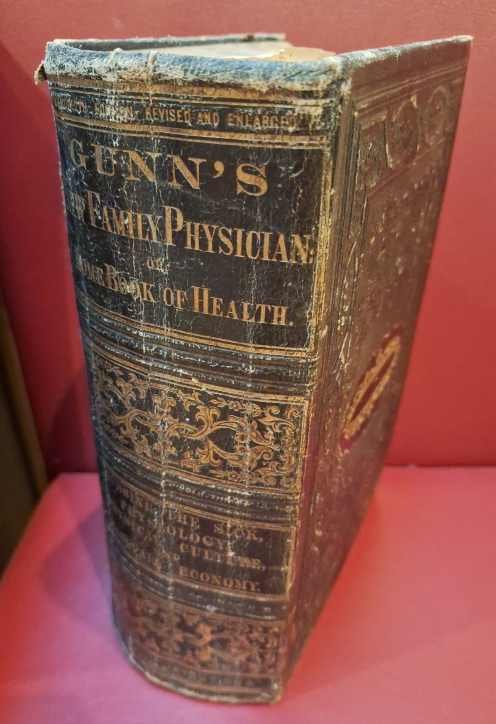 Gunn’s New Family Physician Home Book of Health 1864 Antique