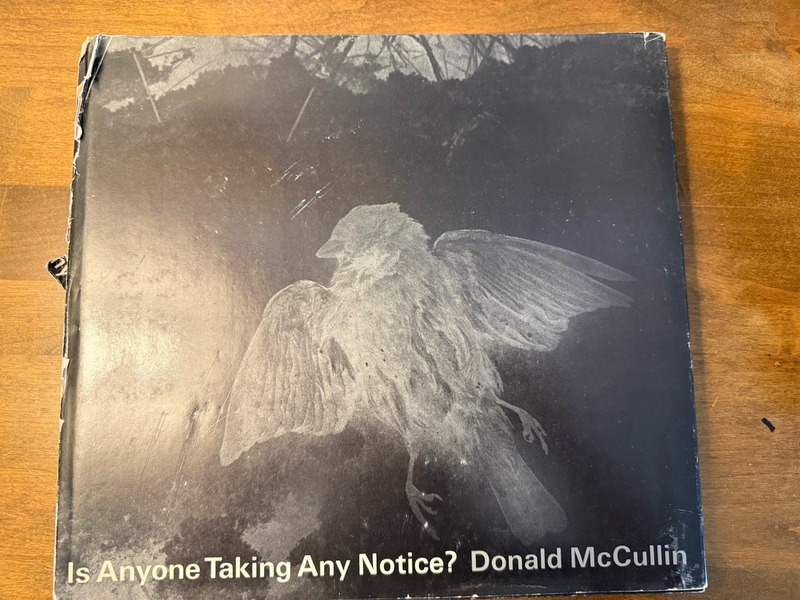 Don McCullin 1st Ed Is 1973 Anyone Taking Any Notice? Hardcover w/Dustjacket