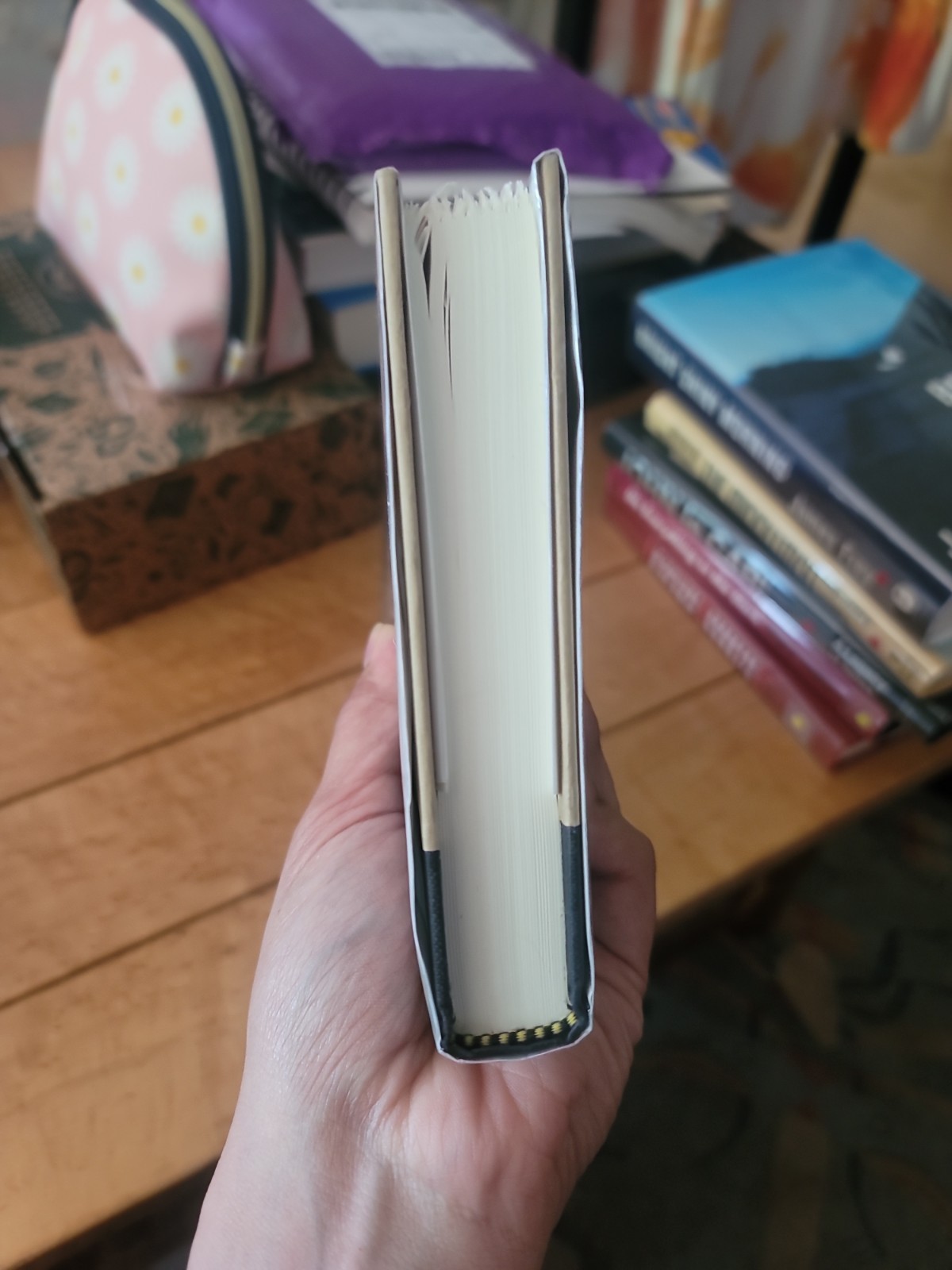 Signed His Illegal Self By Peter Carey (2008 HC DJ)