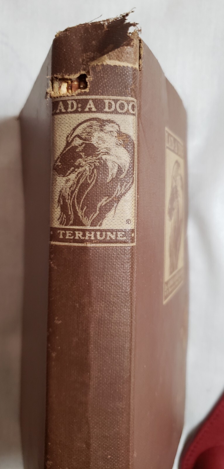 “Lad: A Dog” by Albert Payson Terhune c1947 (Renewed) p371 Hardback E.P. Dutton