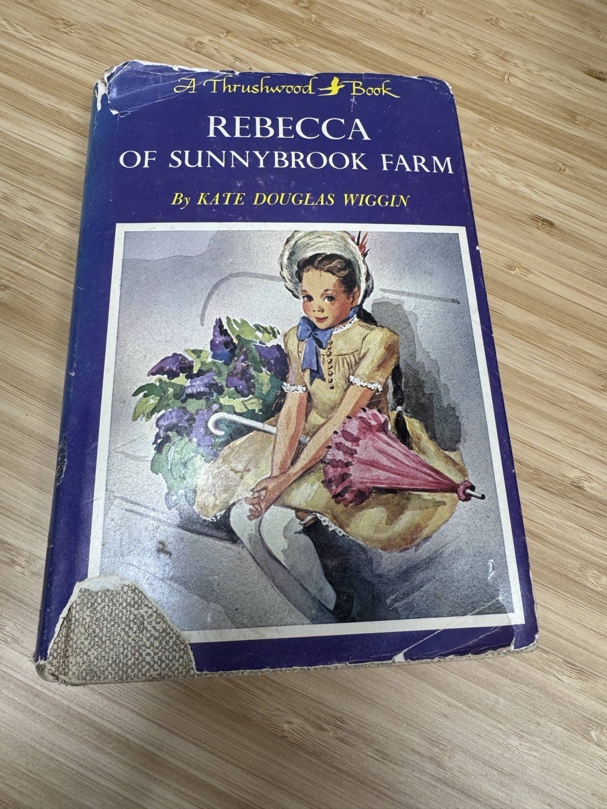 Rebecca of Sunnybrook Farm, DJ, Thrushwood Series Kate Douglas Wiggin