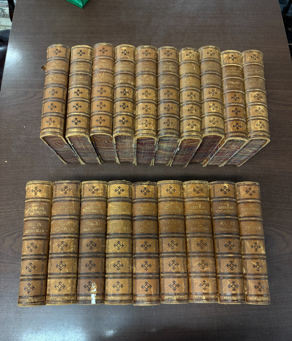 Annual Cyclopaedia 1876/1877 D. Appleton 19 vol Set complete Leather + Indexes