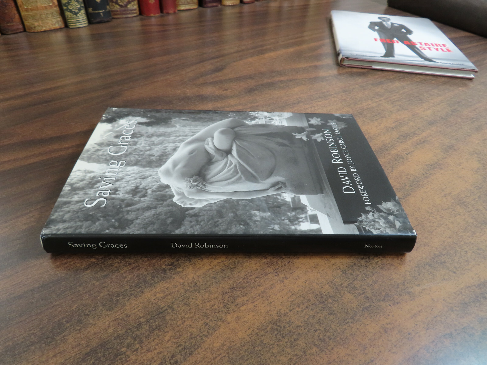Saving Graces David Robinson 1995 HC 0393037940