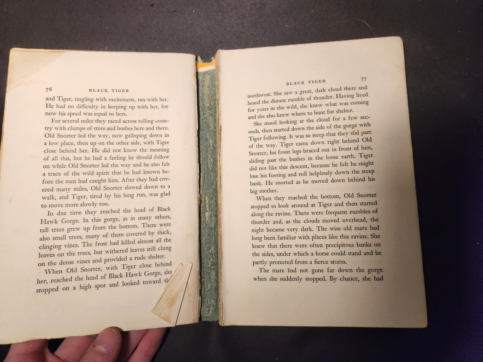 VINTAGE SET OF 8 Kid/Teen/Young Adult Novels – Various Authors – Large Text