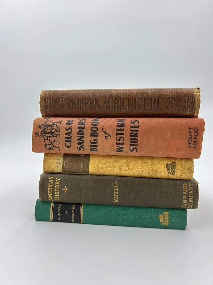 Lot of 100 Decorative Vintage Hardcover Books – Old, Rare & Random