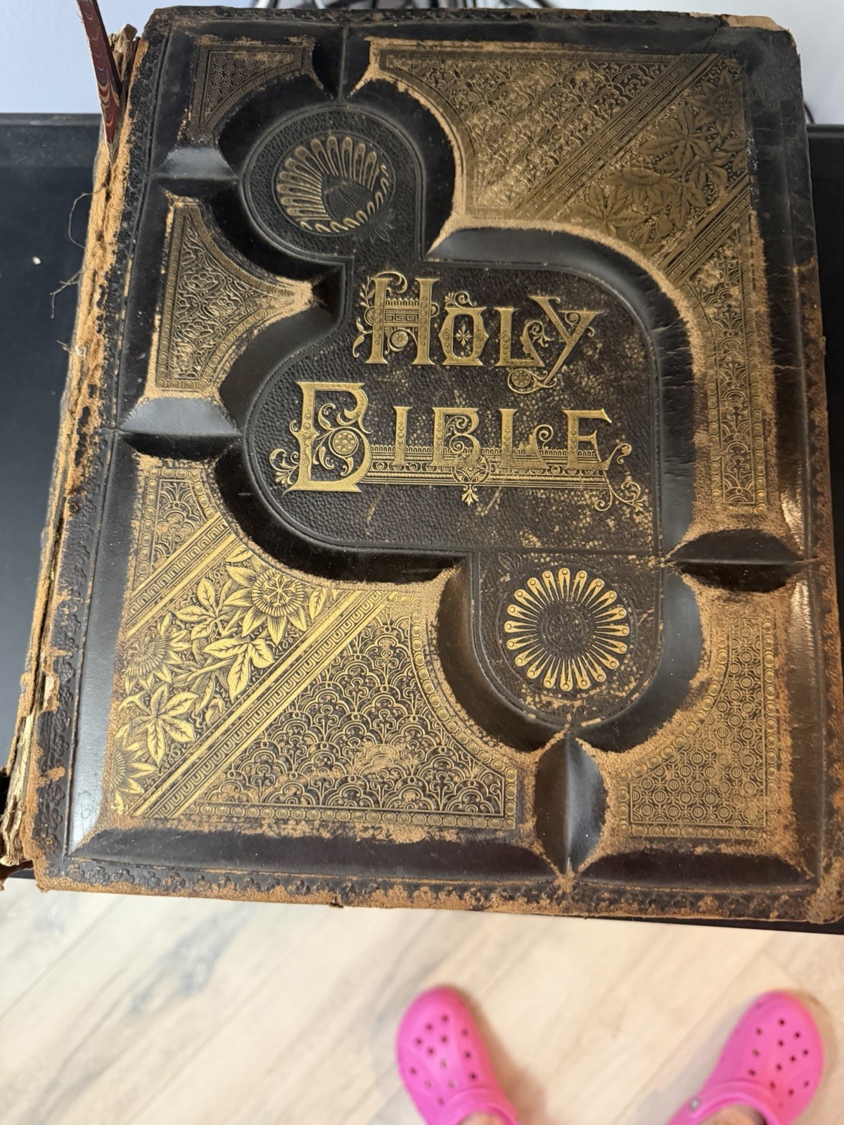 1881 Phillips & Hunt Pictorial Family Bible “Lyons family” With Family Records