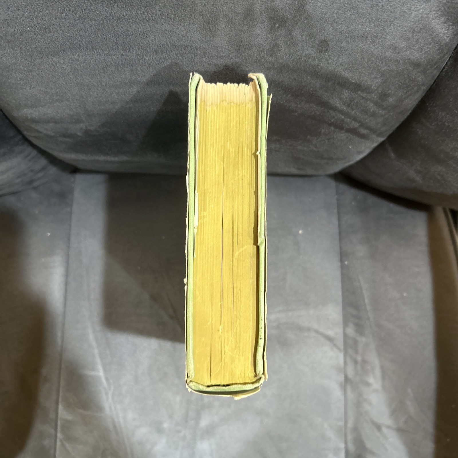 1905 Told by Uncle Remus by Joel Chandler Harris with dust jacket green cover