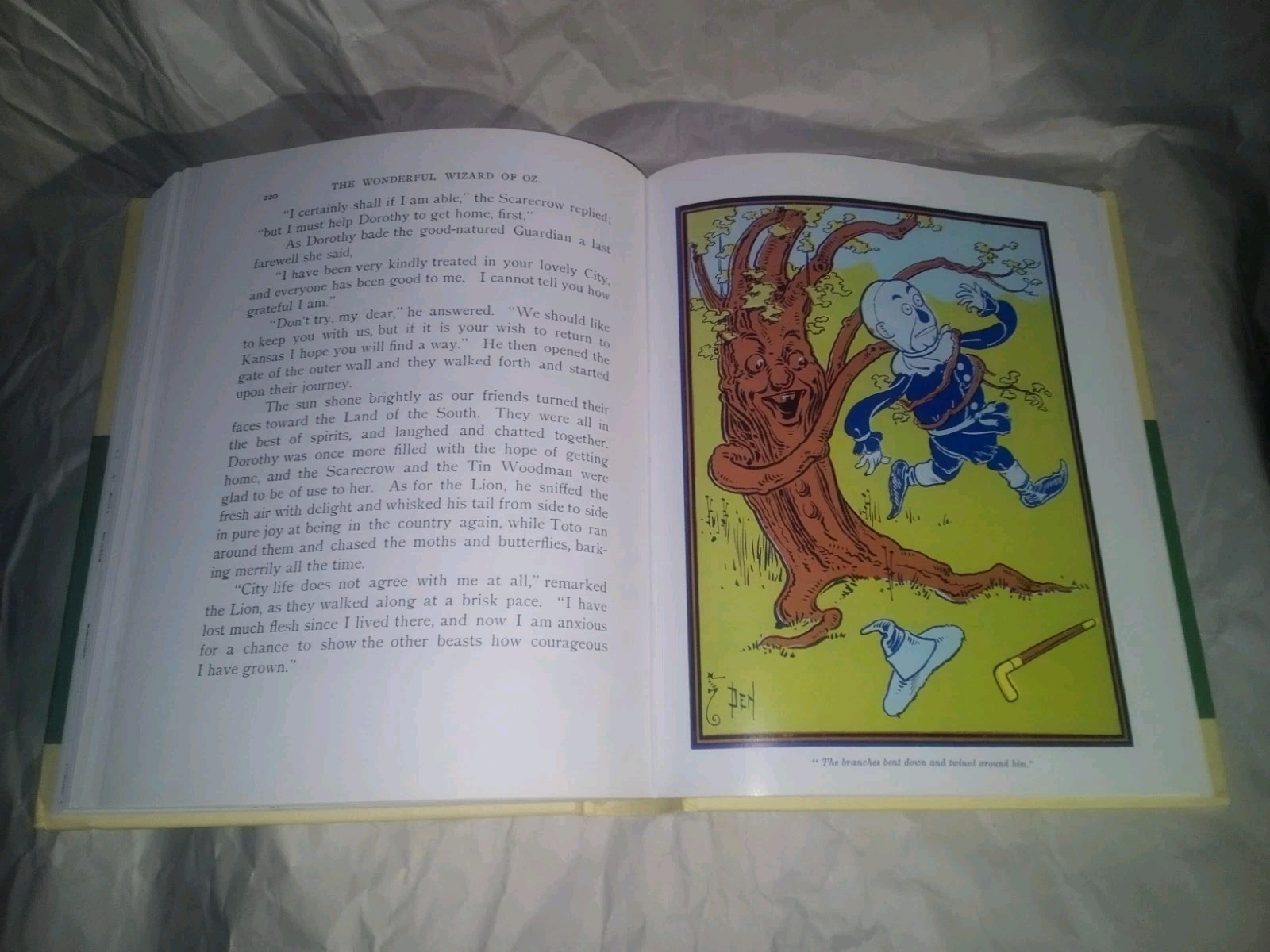 The Wonderful Wizard Of Oz L Frank Baum 1900 1st Edition W W Denslow in Color! +