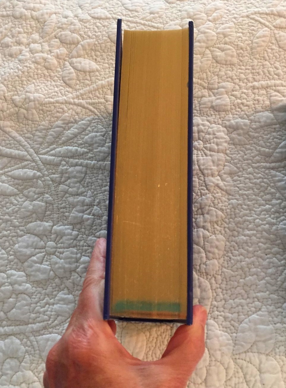 The Marvels HBDJ Signed Brian Selznick Stated 2015 Stated 1st Edition
