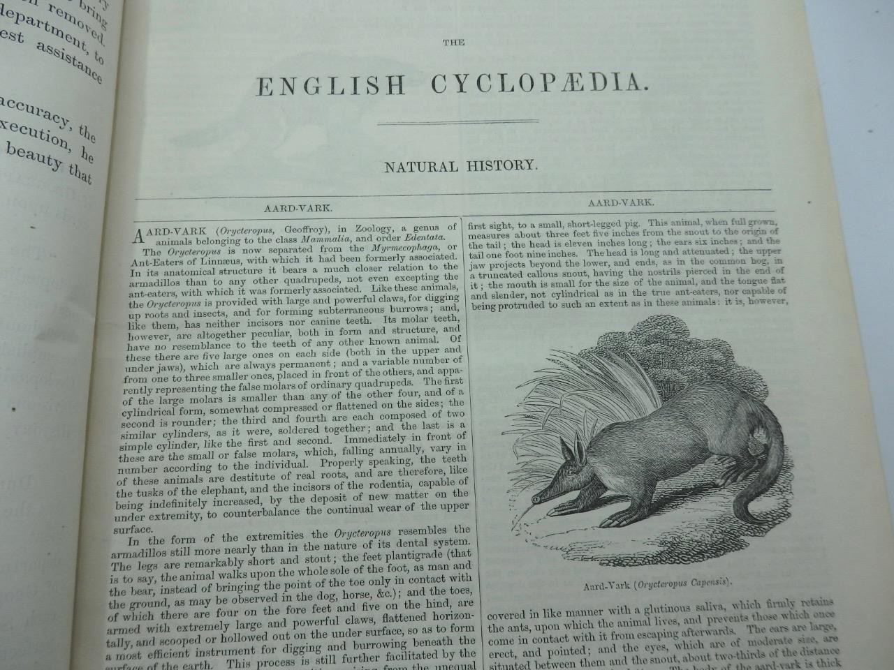 1854 ENGLISH CYCLOPAEDIA of NATURAL HISTORY Charles Knight – COMPLETE 4 VOLS.