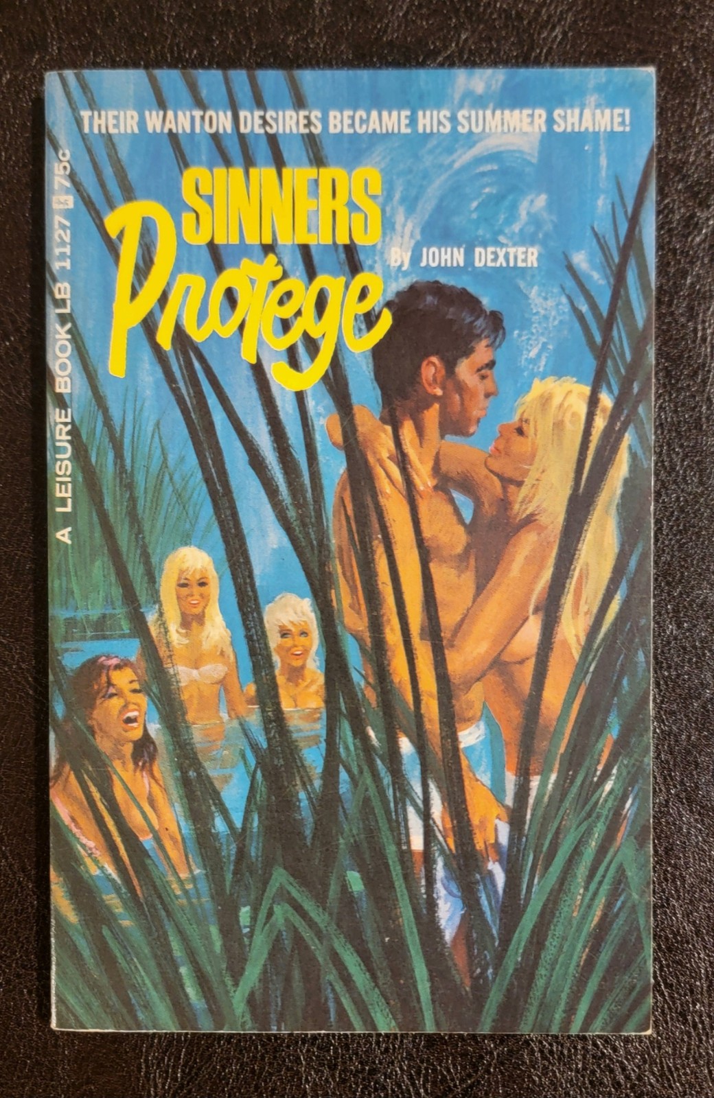 Sinners Protege John Dexter Leisure Book LB 1127 1966 Bonfils RARE HIGH GRADE