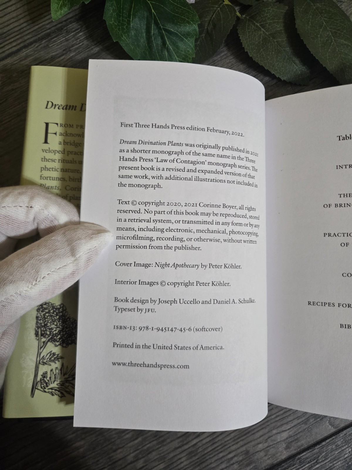 Dream Divination Plants – Corinne Boyer – Three Hands Press – Numbered Hardcover