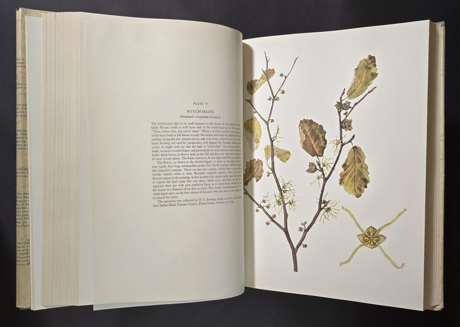 O E Jennings / Wild Flowers of Western Pennsylvania and the Upper Ohio Basin 1st