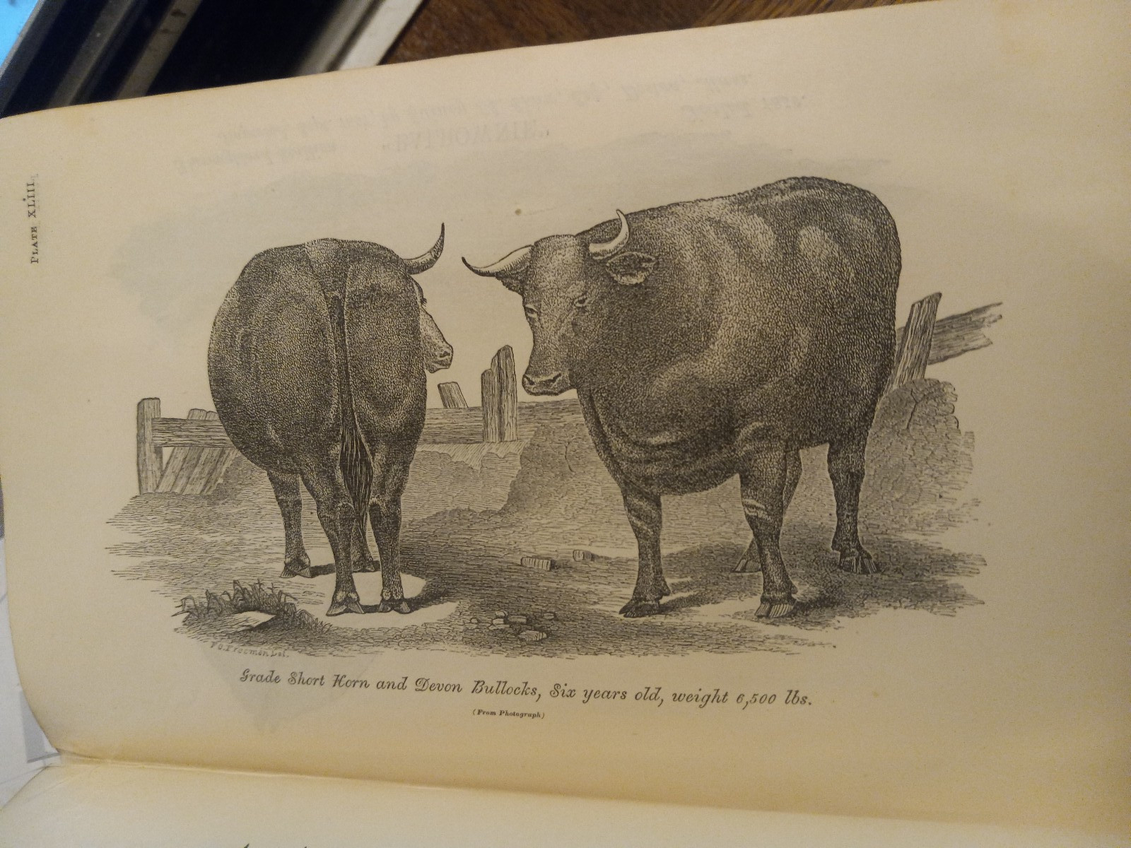 1862 USDA NICE! ILLUST COMMISIONER AGRICULTURE REPORT W/48 PLATES & INPAGE PICS!