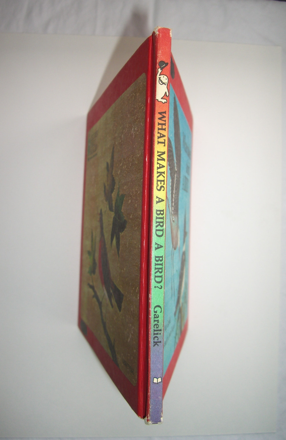 What makes a bird A BIRD? By May Garelick Children’s book Hardback 1969