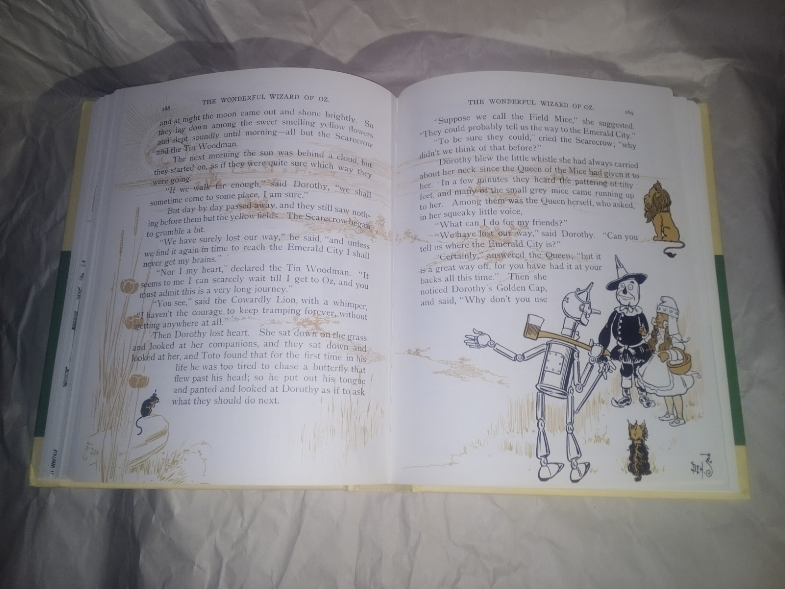 The Wonderful Wizard Of Oz L Frank Baum 1900 1st Edition W W Denslow in Color! +