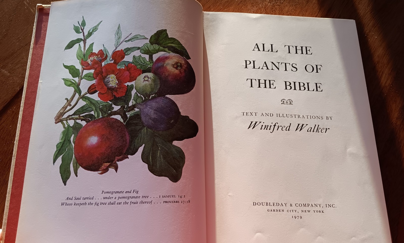 ALL THE PLANTS OF THE BIBLE BY WINIFRED WALKER 1979 HARDCOVER, X-LIBR, GOOD