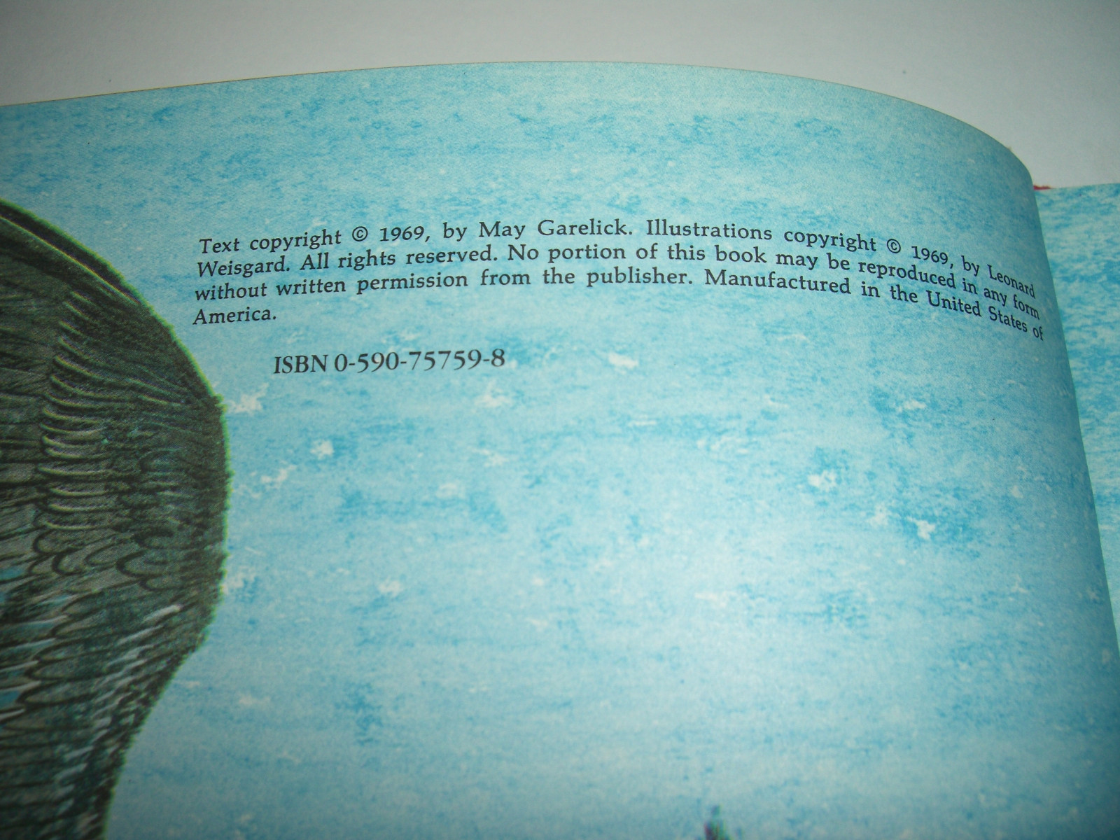 What makes a bird A BIRD? By May Garelick Children’s book Hardback 1969