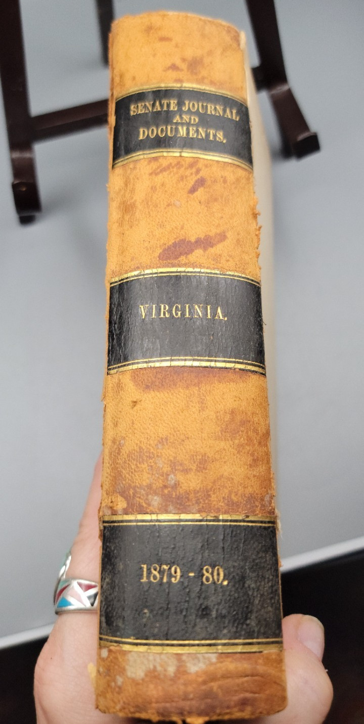 1879-1880 Journal of the Senate of Virginia Antique Law Ledger Politics American
