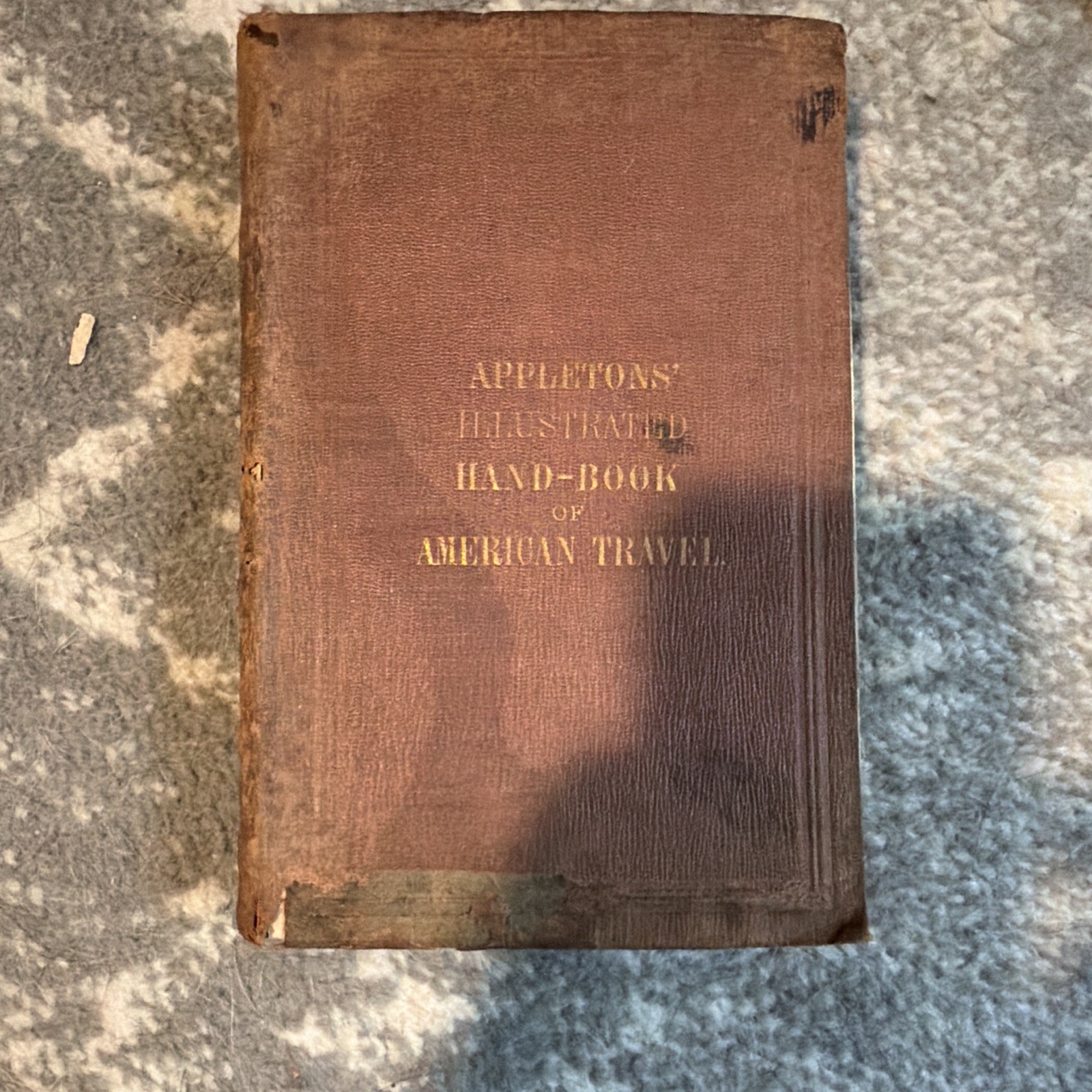D. Appleton & Co. Appletons’ Illustrated Hand-Book of American Travel 1860 HC