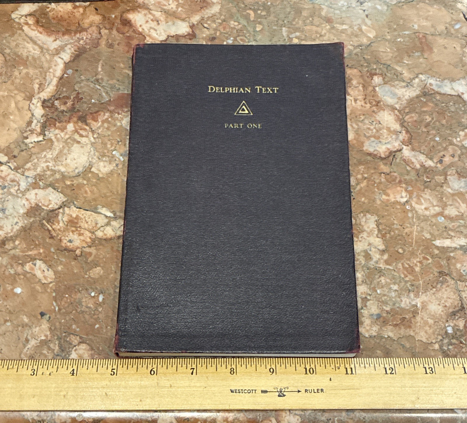 Book Set Delphian Text + Workbooks Women Education Illustrated Antique Complete