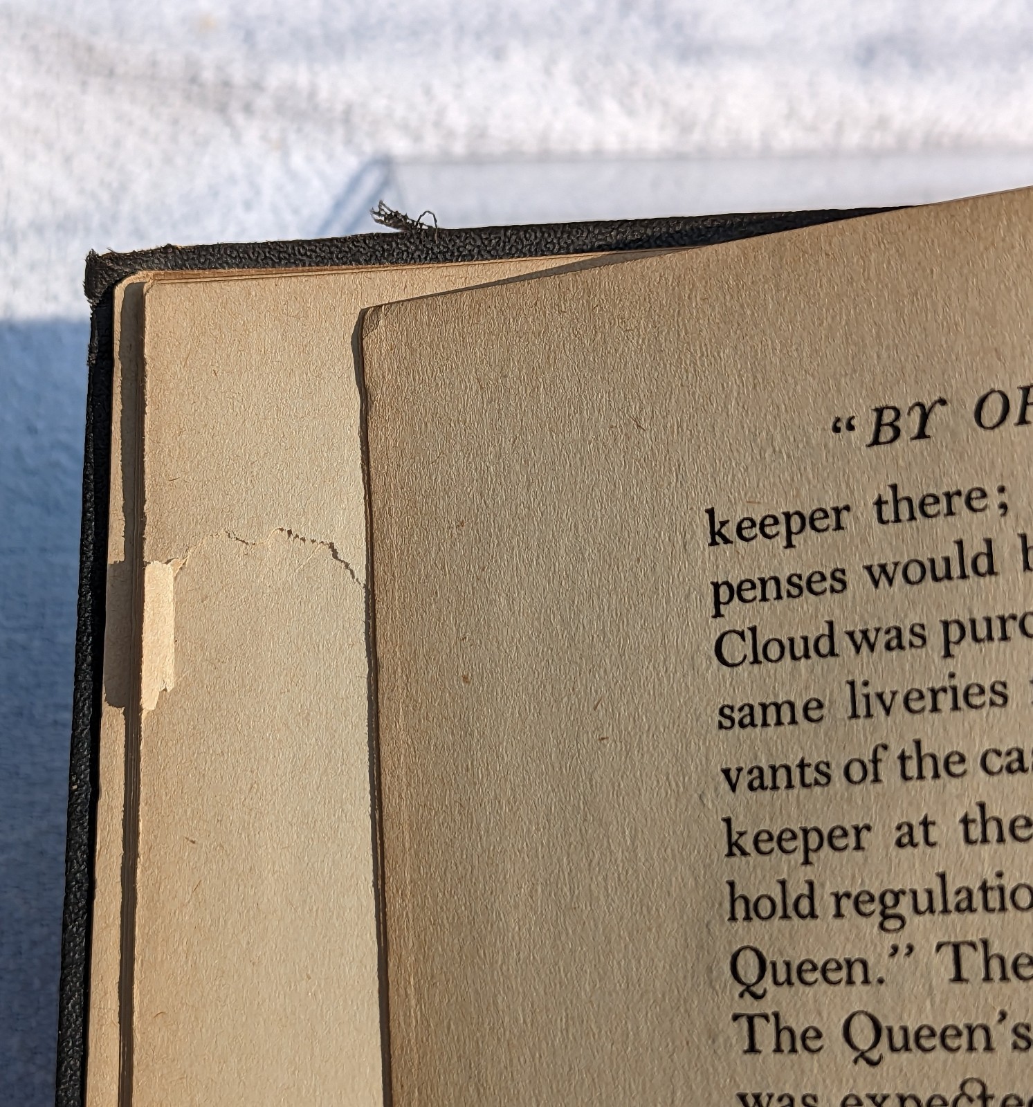 Memoirs Of The Private Life Of Marie Antoinette II (Campan – 1917) Printed USA