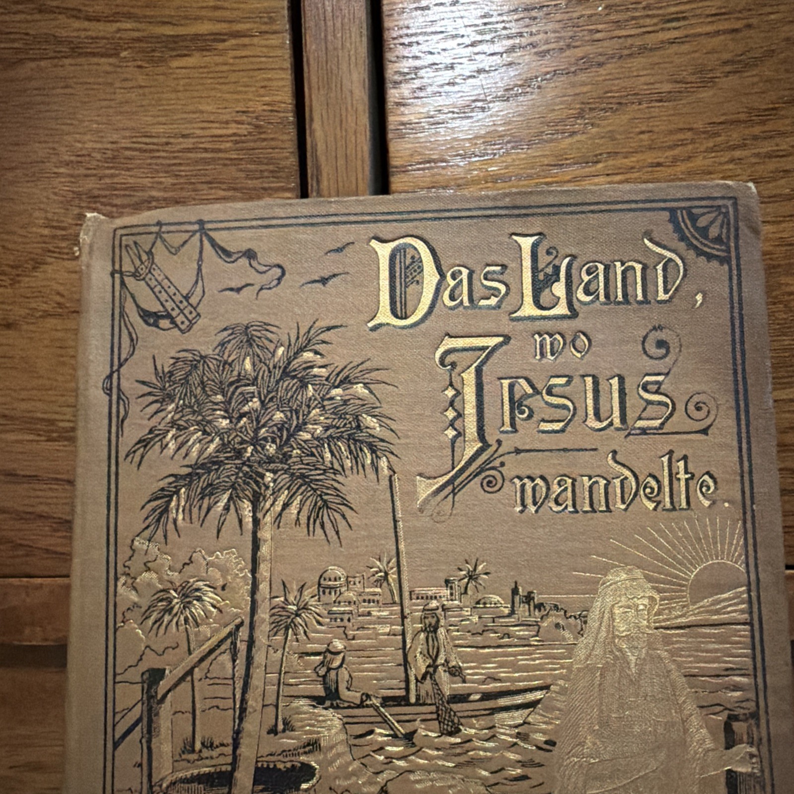1897 Das Land wo Jesus wandelte Holy Land Antique Book Religious German Great