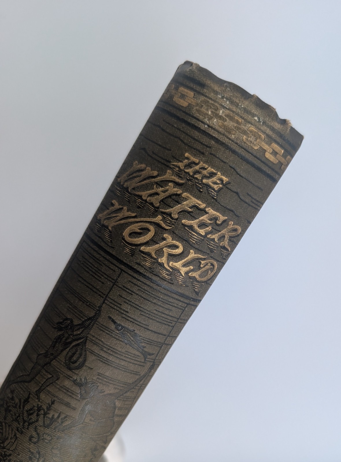 1886 The Water World J.W. Van Dervoort Illustrated Victorian Ocean Exploration