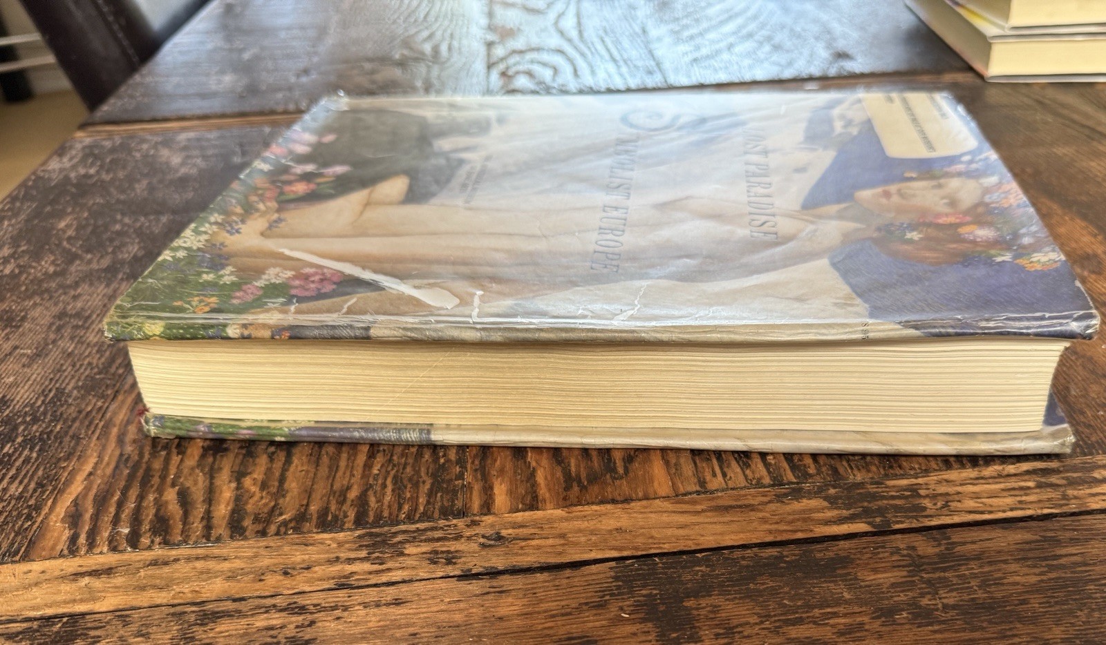 Lost Paradise: Symbolist Europe – by Jean Clair; Montreal Museum Fine Arts 1995