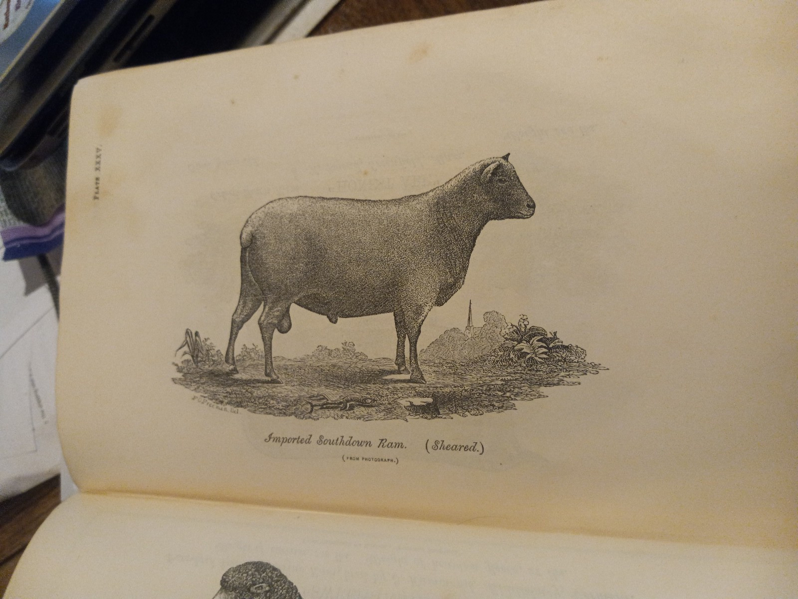 1862 USDA NICE! ILLUST COMMISIONER AGRICULTURE REPORT W/48 PLATES & INPAGE PICS!