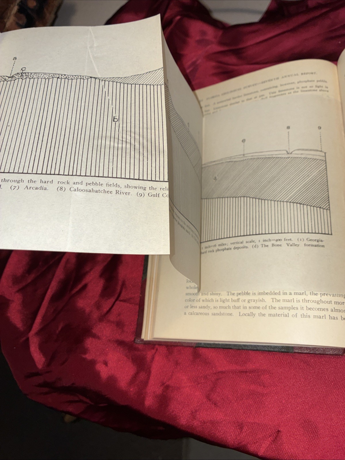 Florida State Geological Survey Phosphate Production In FL 1913, E.H. Sellards