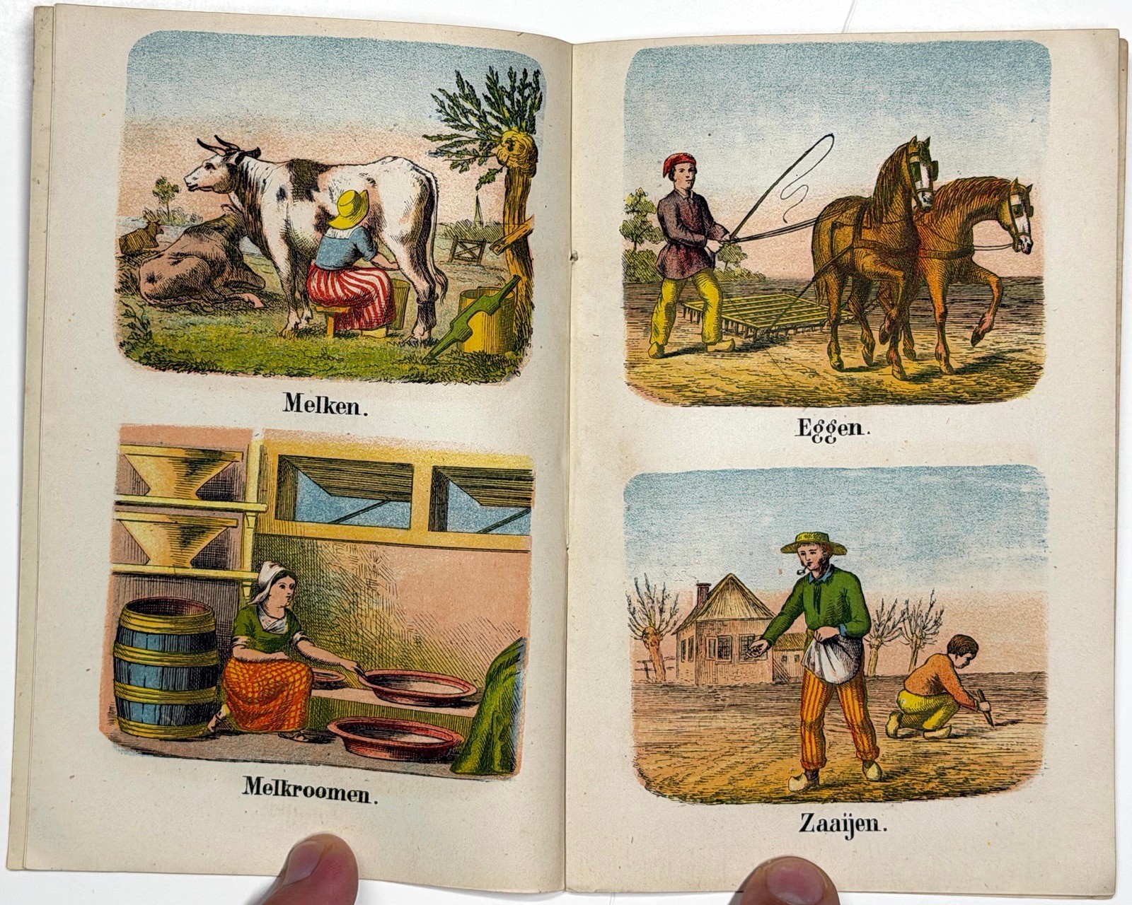 1880 HET BOERENLEVEN DUTCH CHILDRENS BOOK DE HAAN EMRIK BINGER COLOR LITHO