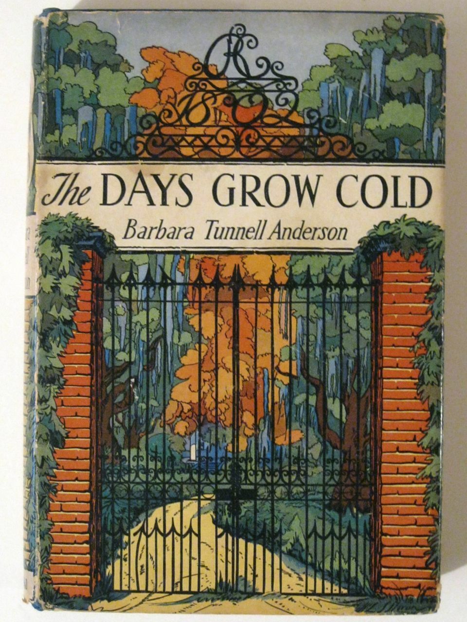 The DAYS GROW COLD by Barbara Turnell Anderson! Rare 1941 Macmillan Co. HCDJ