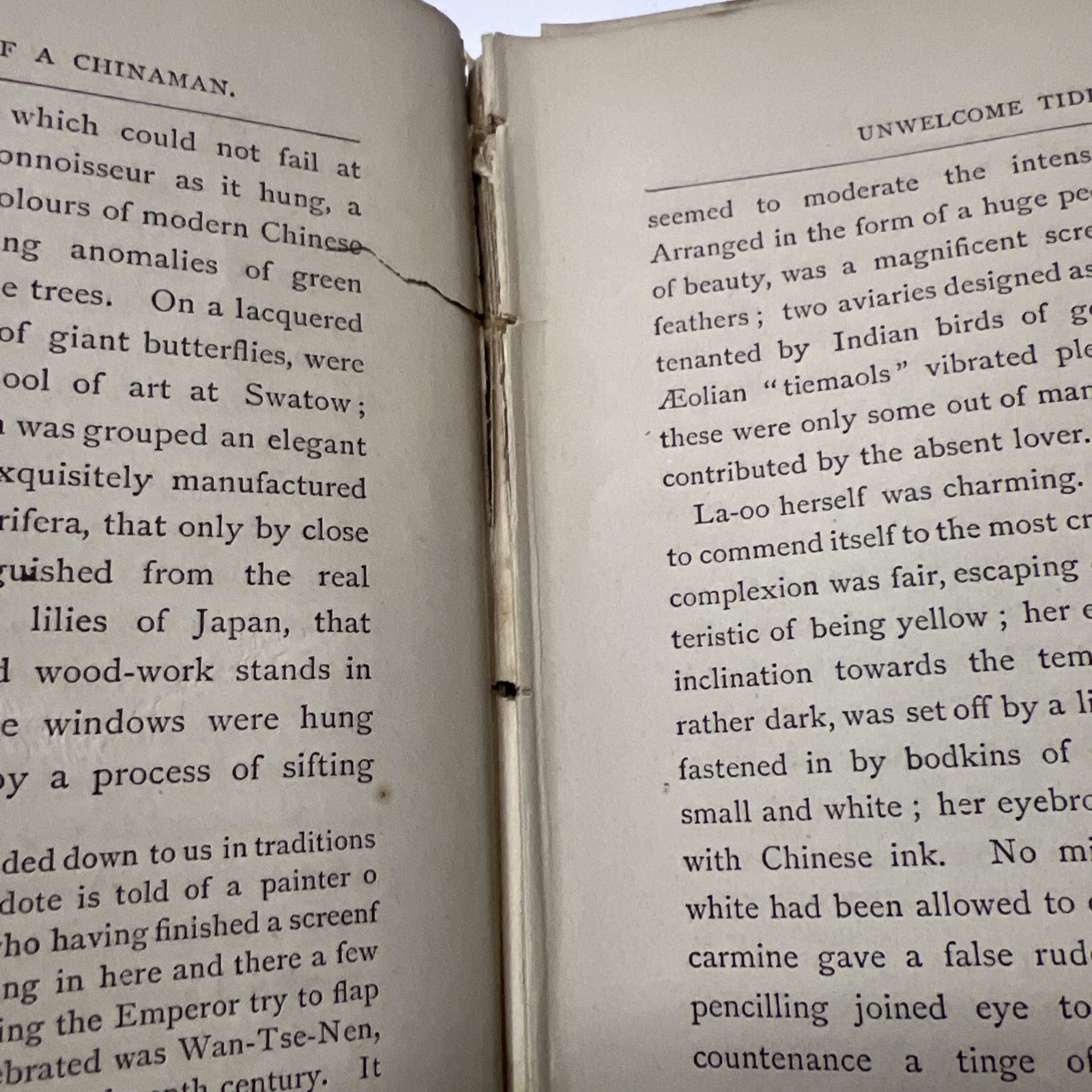 The Tribulations Of A Chinaman Jules Verne 1881 London First Edition