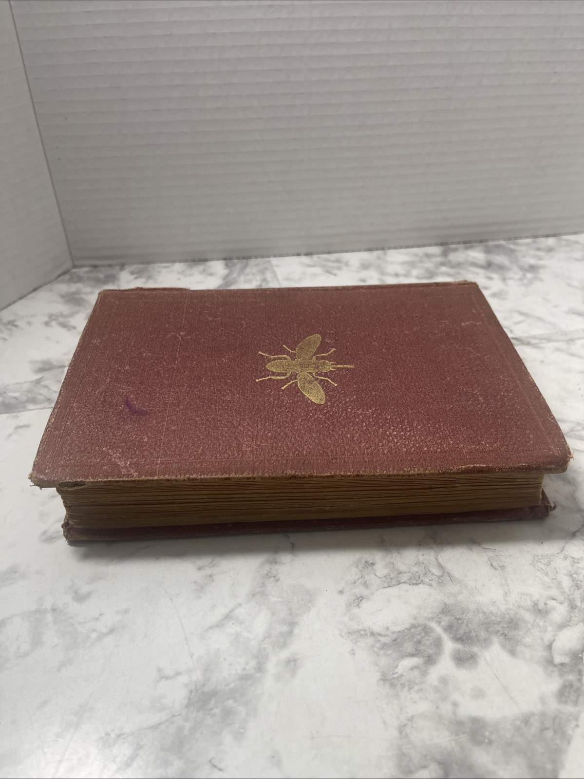 A Popular Account of Missionary Travels Researches in S. Africa Livingstone 1861