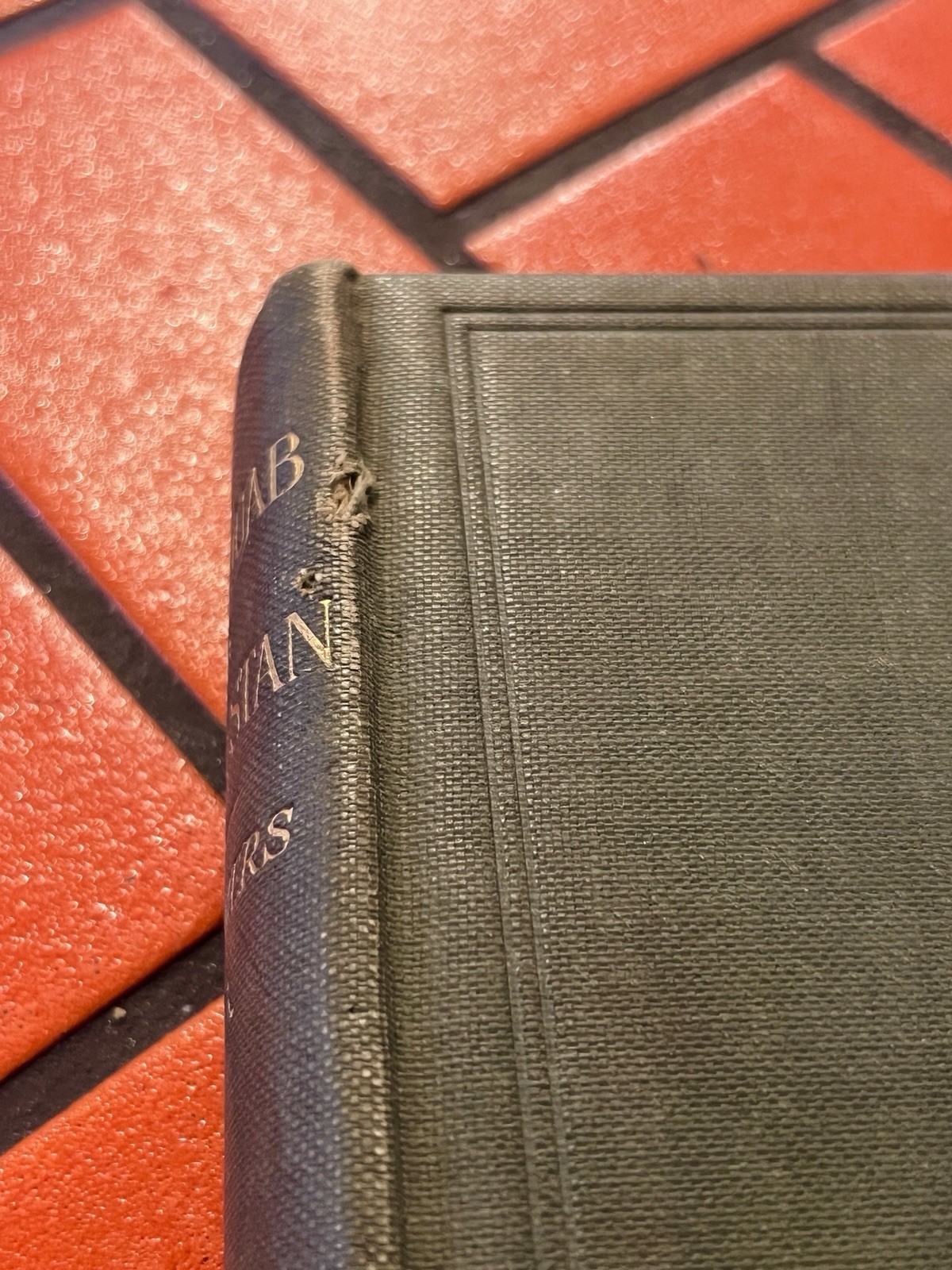1913 The Duab of Turkestan W. Rickmer Rickmers Illustrated 1st Edition With Maps