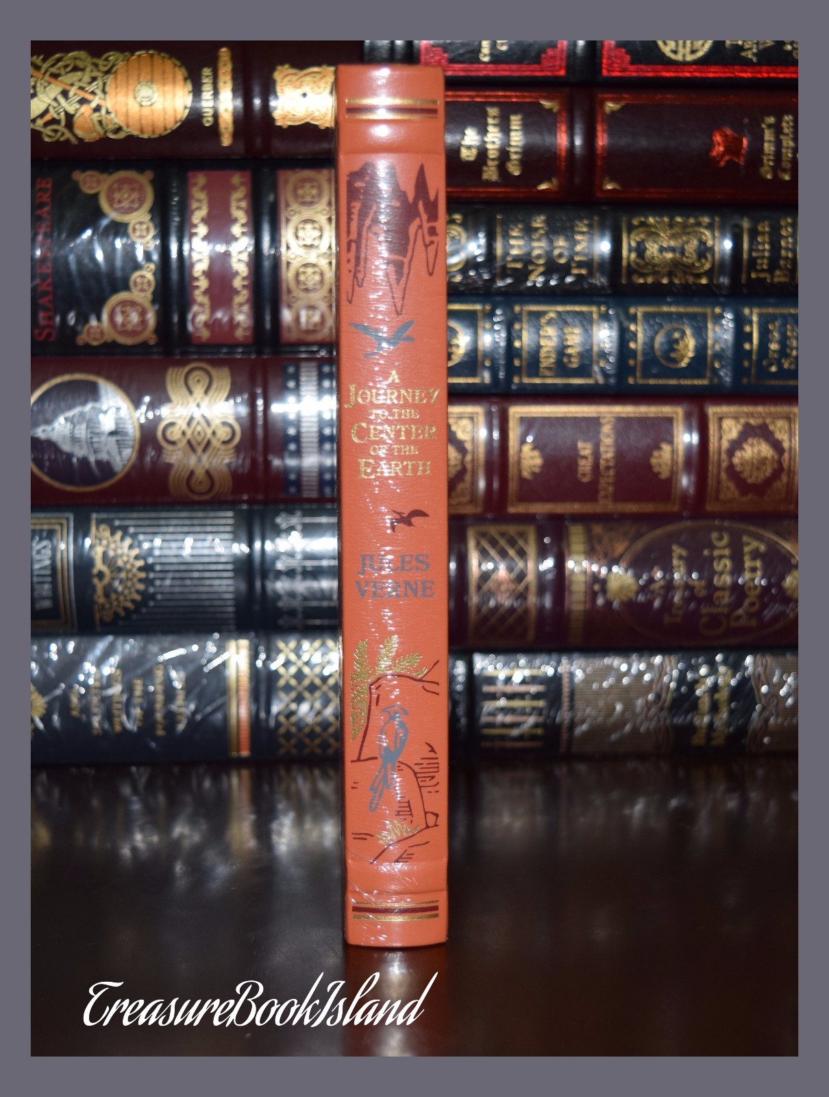 New Journey to the Center of the Earth by Jules Verne Sealed Leather Bound Gift