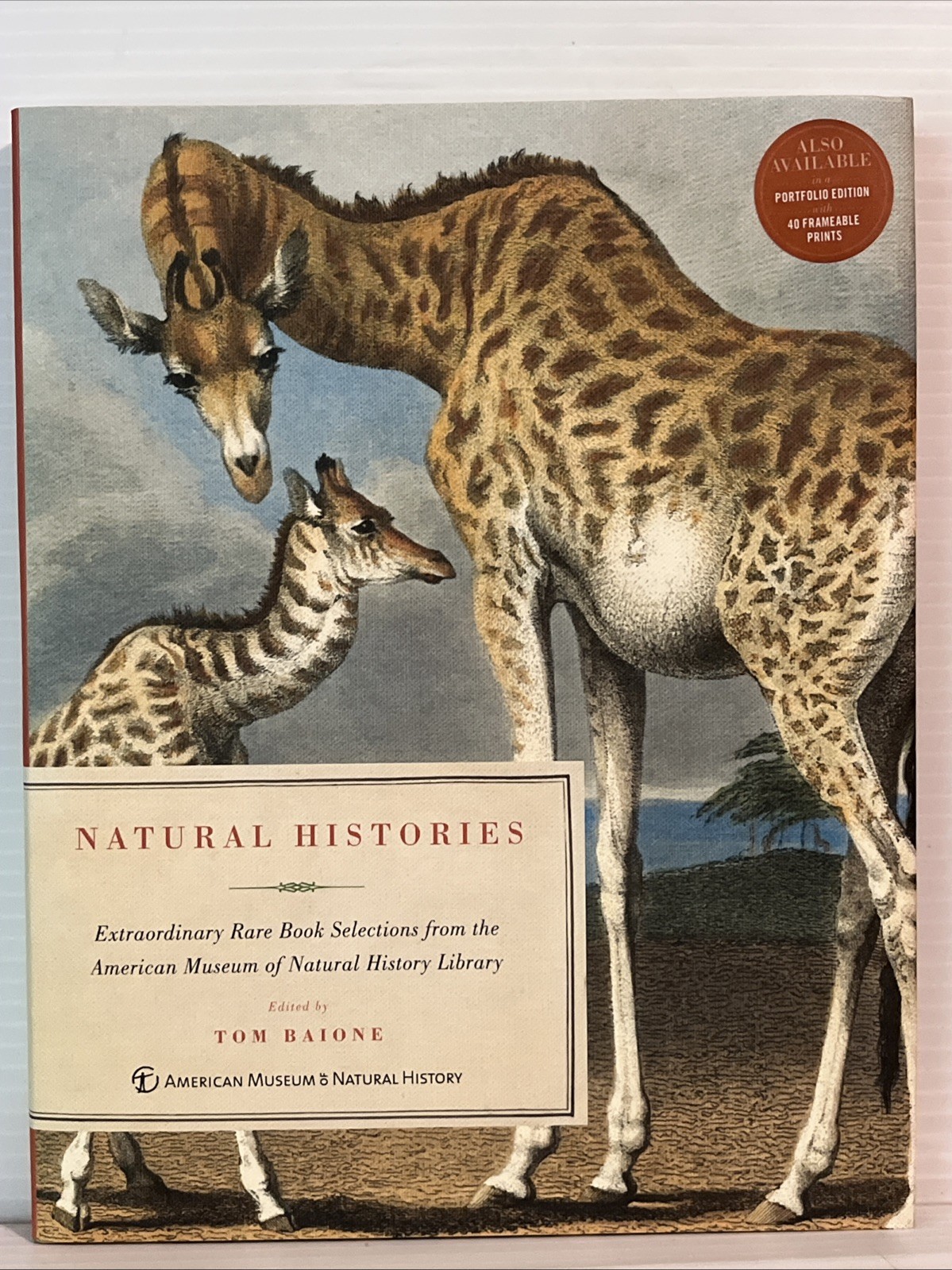 Natural Histories – by T. Baione